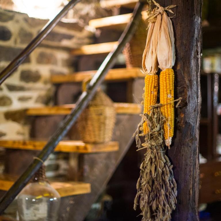 Djurdjevina Family Farm - Kuća sa 3 Spavaće Sobe - 14
