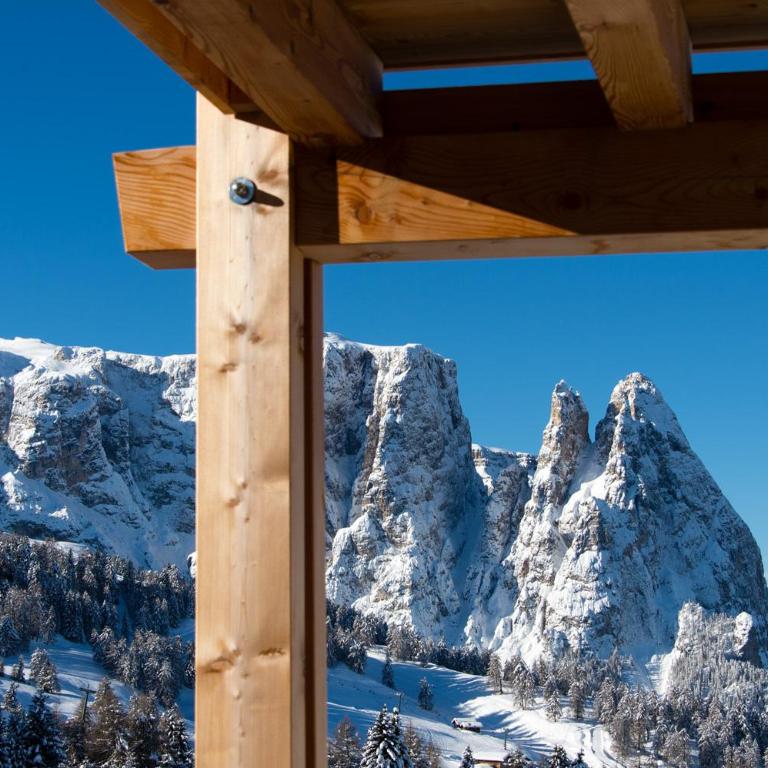 Hotel Chalet Dolomites - Camera Matrimoniale Classic con Balcone - 2