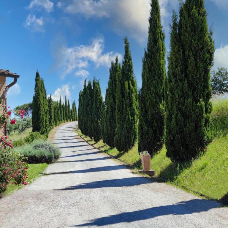 Agriturismo e Maneggio Poggio Leone - Appartamento - 1