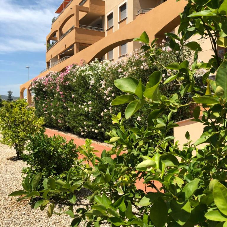 Denia Deluxe Beach & City - Apartamento Deluxe - 31