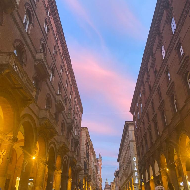 The Nest - Appartamento - 14