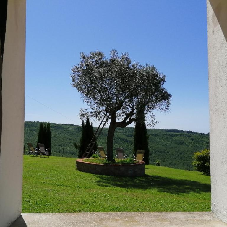 Agriturismo e Maneggio Poggio Leone - Appartamento - Piano Terra - 2