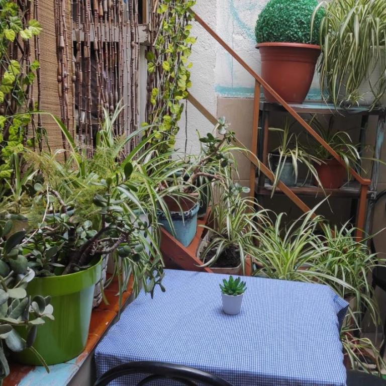 Sant Jordi Santiago - Apartamento Estándar - 9