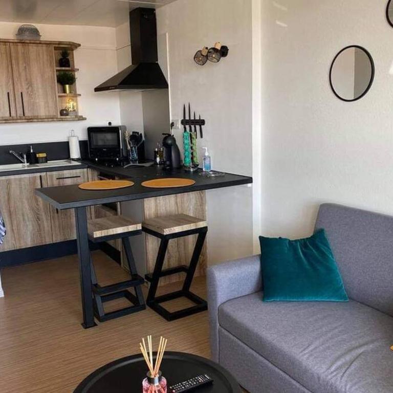 Appartement T2 rénové dans résidence avec piscine - Appartamento con 1 Camera da Letto - 10