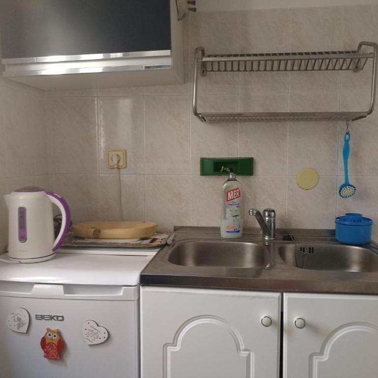 Guesthouse Bogdanovic - Studio sa Bračnim Krevetom (King-size) - 3