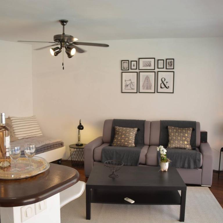 Grand studio climatisé proche plages Juan les pins - Appartamento con 1 Camera da Letto - 19