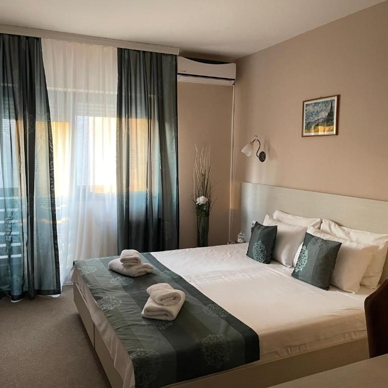 Hotel Danica - Dvokrevetna Soba sa Bračnim Krevetom/Zasebnim Krevetima - 6