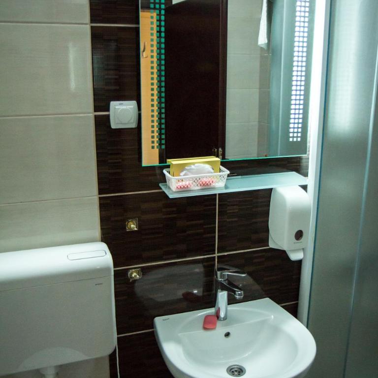 Hotel Danica - Dvokrevetna Soba sa Bračnim Krevetom/Zasebnim Krevetima - 11