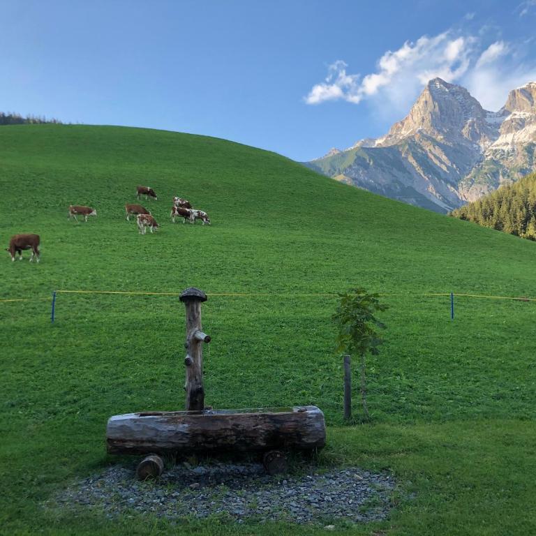 Appartement zur schlafenden Jungfrau - Appartement Deluxe - 33