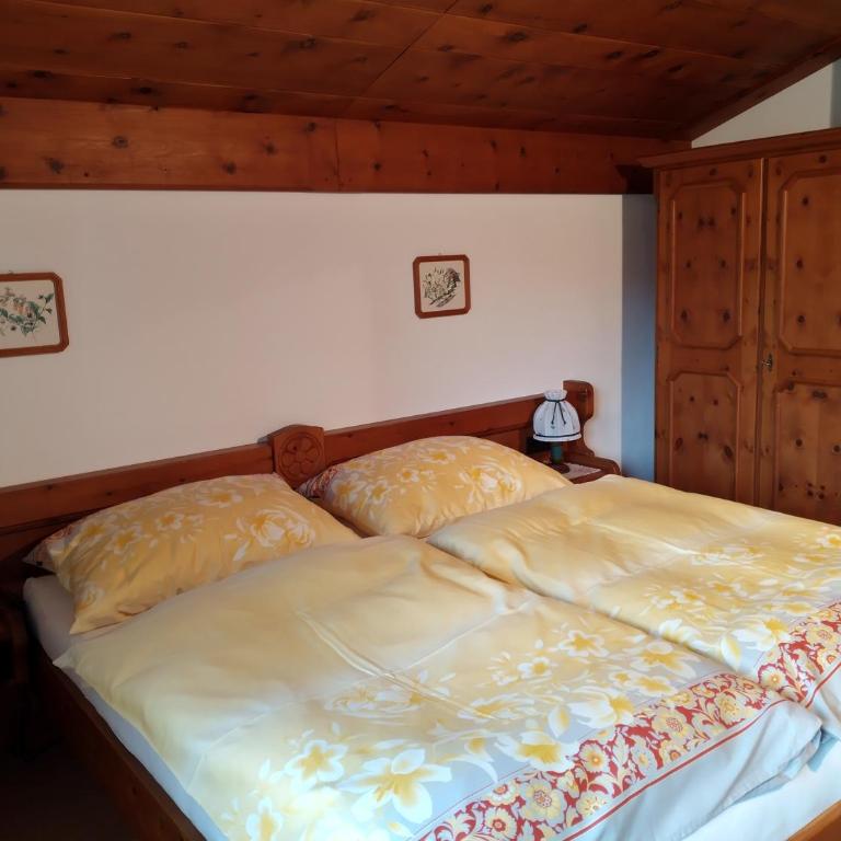 Haus Kieler - Apartment mit Blick auf die Berge - 12
