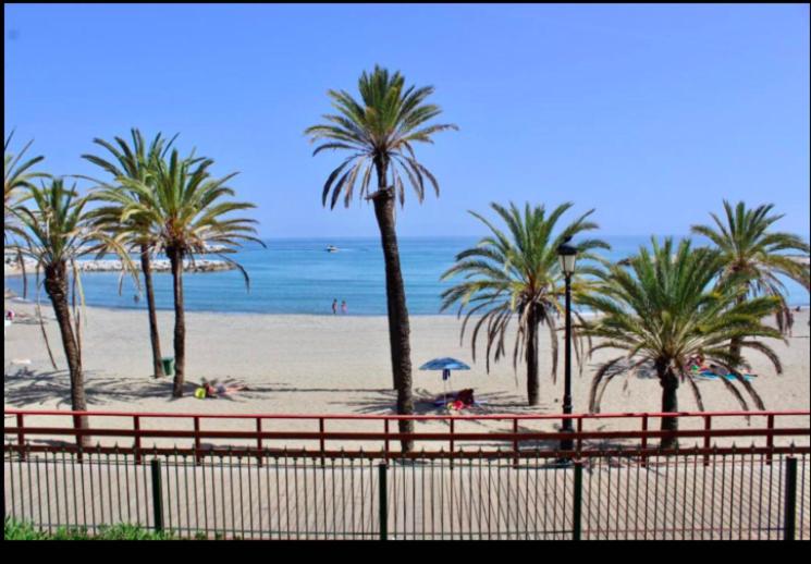 Puerto Banus Beachfront .Gray d´Albion . Amazing location - One-Bedroom Apartment - 11