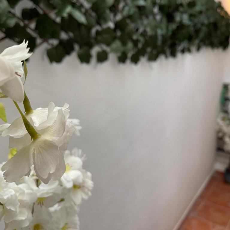 Dream Recova - Apartamento de 2 dormitorios - 36
