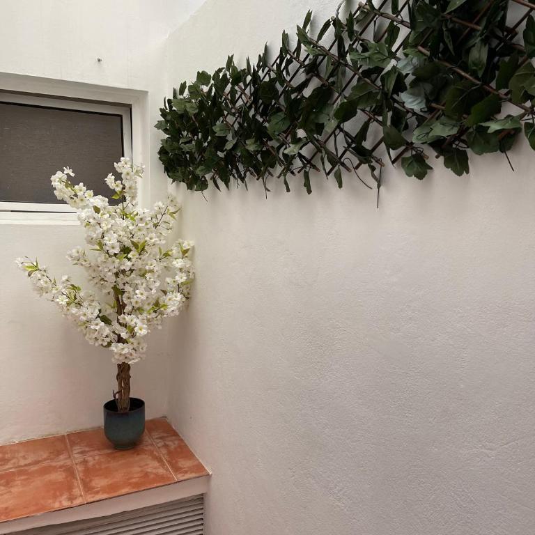 Dream Recova - Apartamento de 2 dormitorios - 35