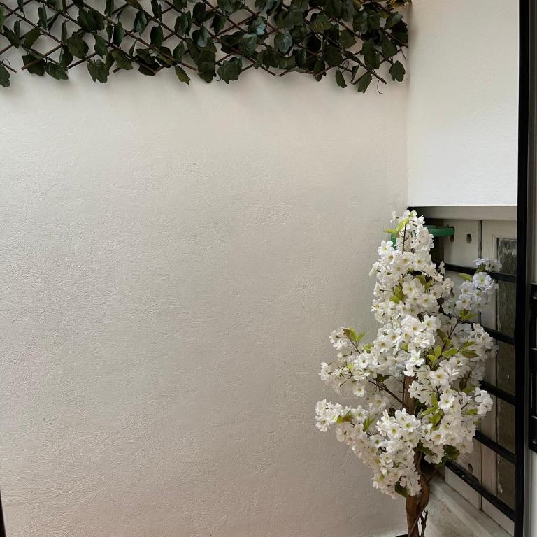 Dream Recova - Apartamento de 2 dormitorios - 34
