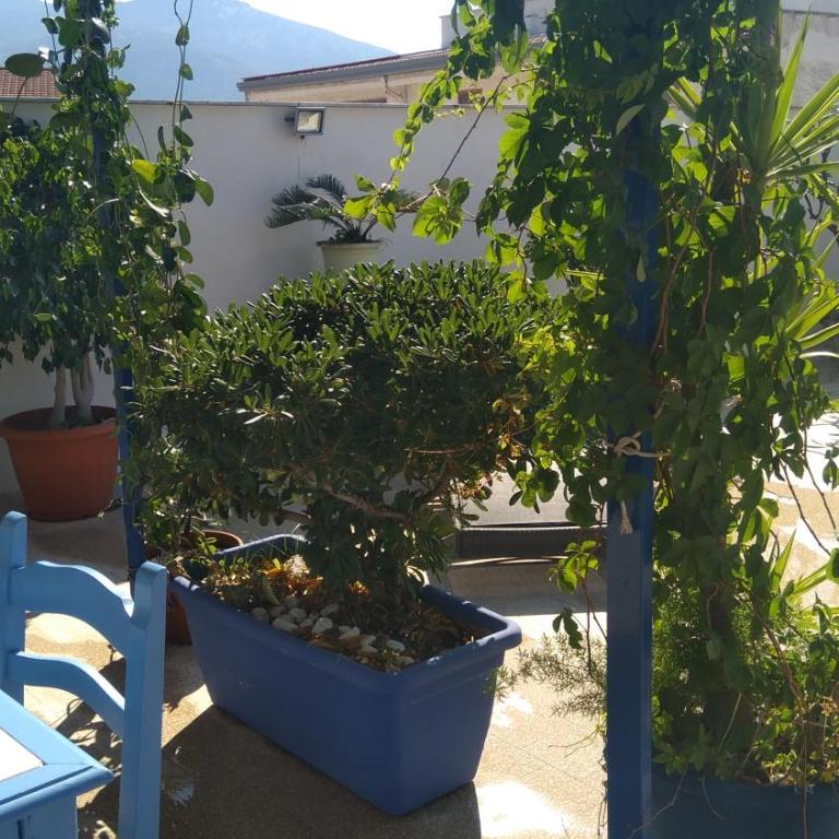 La Casa di Chico - Apartamento con terraza - 24