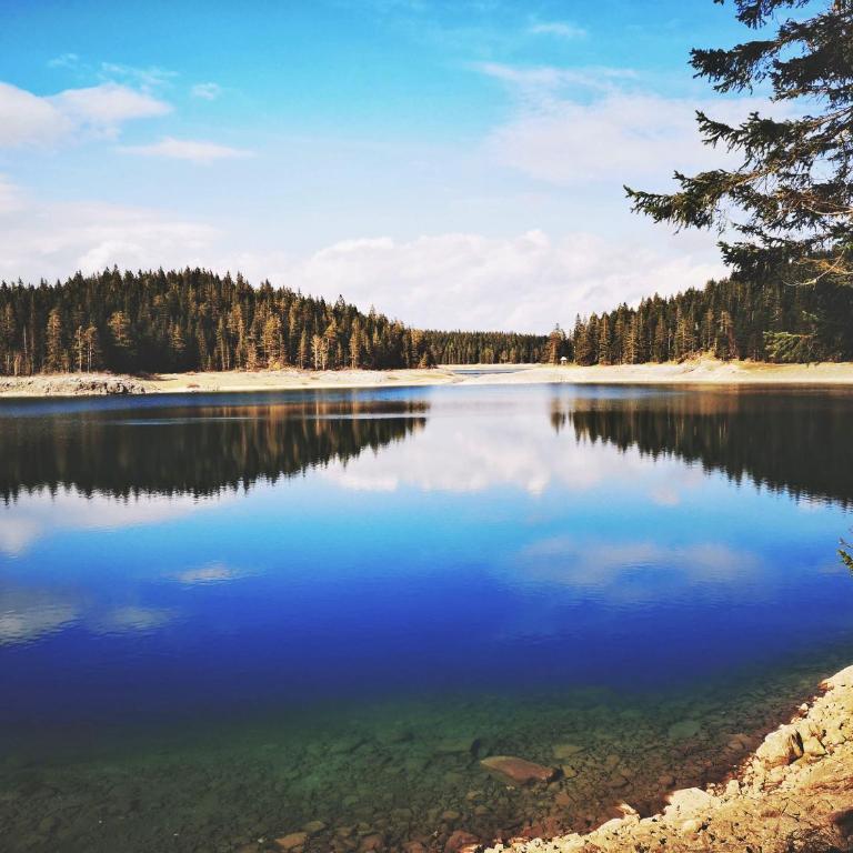 Chalet Lily - Two-Bedroom Chalet - 53