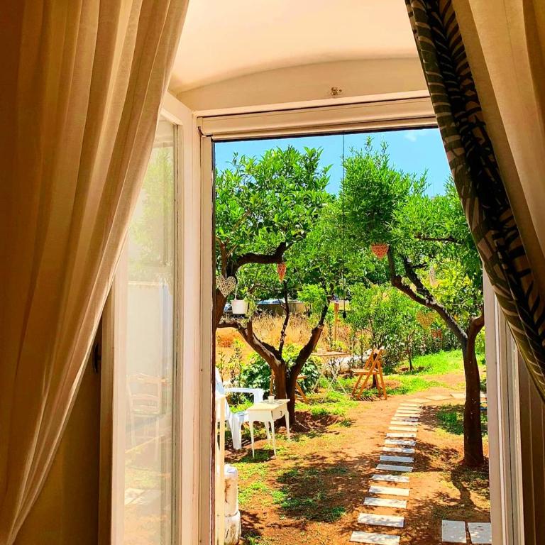 Casa Agrumeto 30 - Casa Vacanze - 25
