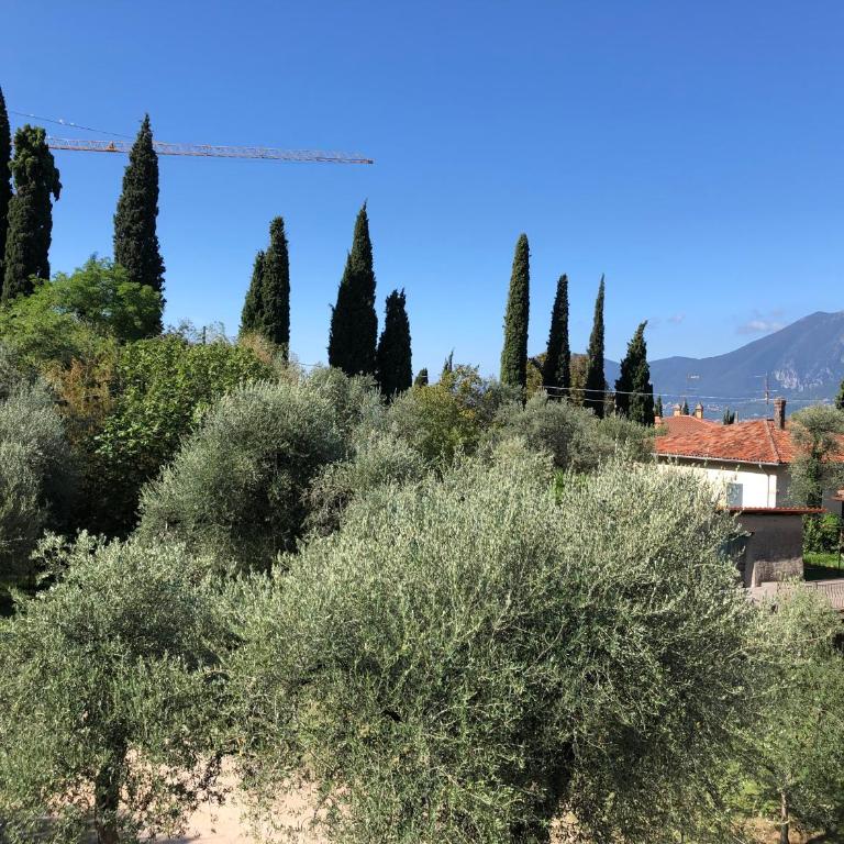 Hotel Zanetti - Chambre Double ou Lits Jumeaux - Vue sur Jardin - 6