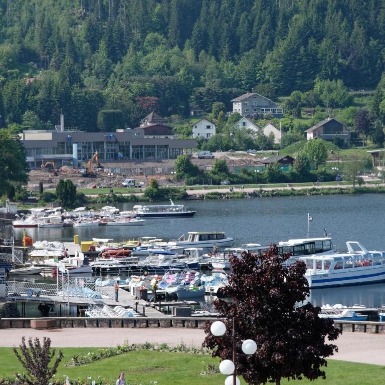 Miellerie du lac - Studio avec Vue sur Lac - 13