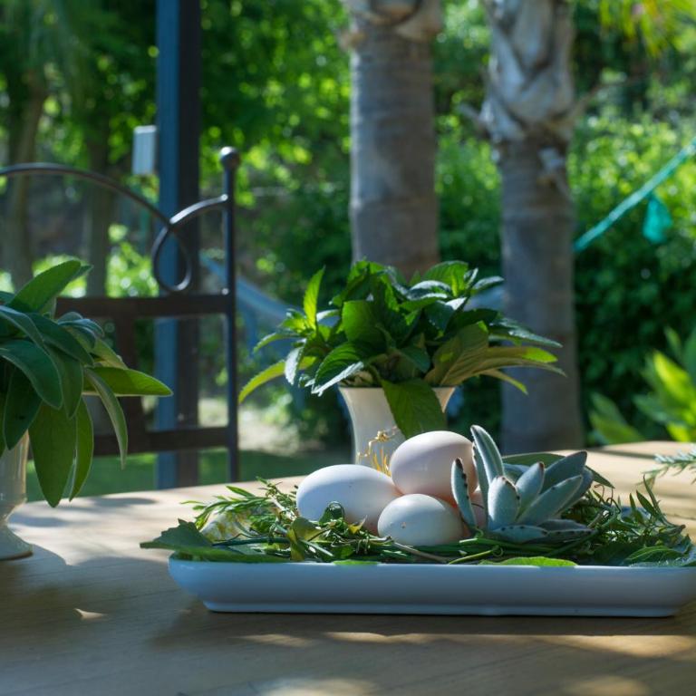 House With Garden And Sea View - Ferienhaus - 31
