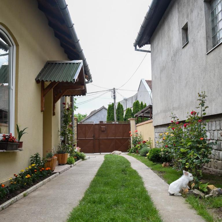 Golden BIS, Subotica - Two-Bedroom Apartment - 29