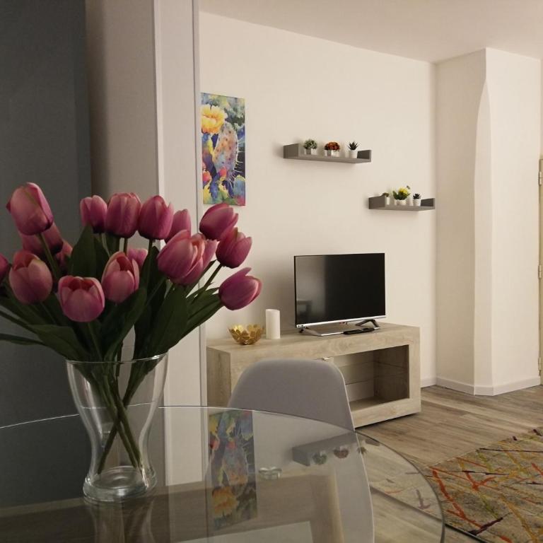 Ficodindia mini Loft - Apartment - Ground Floor - 6