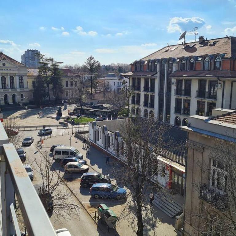 Lux Apartment Rose - Apartman sa 1 Spavaćom Sobom - 9
