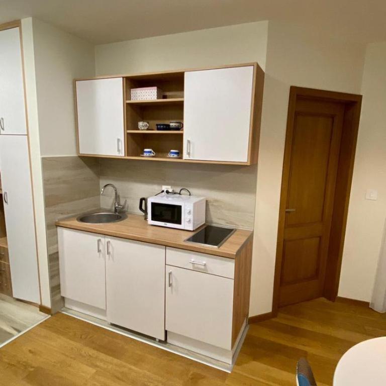 Apartman Todorovic - Apartman sa 1 Spavaćom Sobom - 4