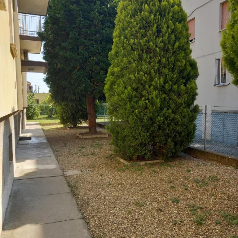FLY HOUSE BOLOGNA...un appartamento al volo - Appartamento con 2 Camere da Letto - 11