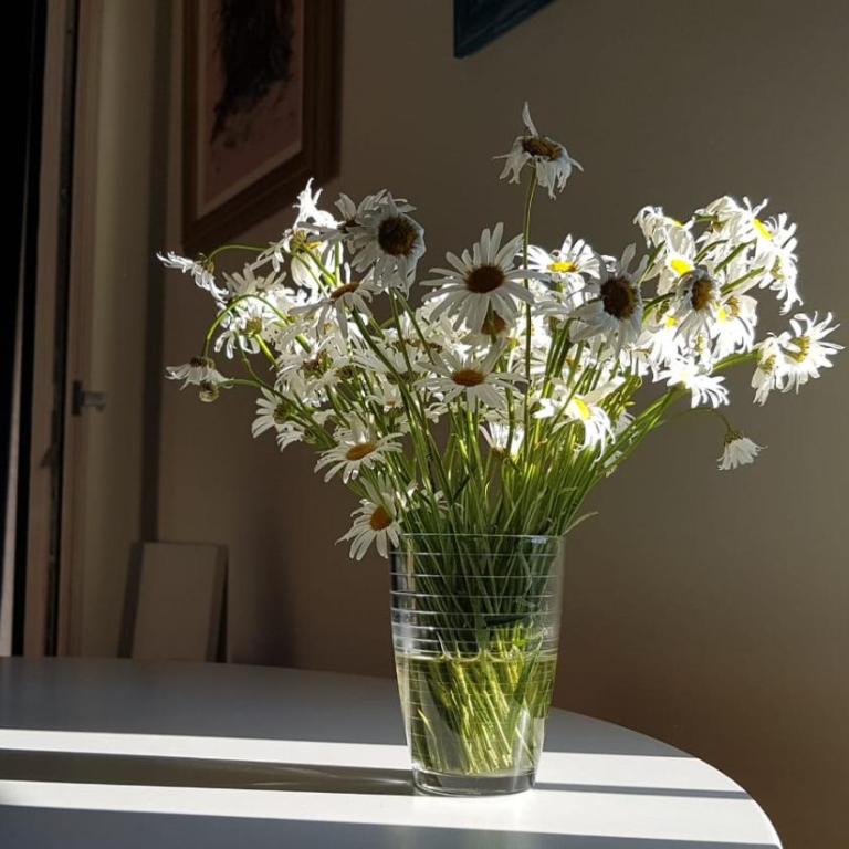 Apartman Todorovic - Apartman sa 1 Spavaćom Sobom - 11