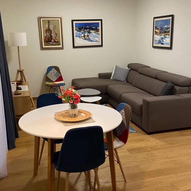 Apartman Todorovic - Apartman sa 1 Spavaćom Sobom - 9