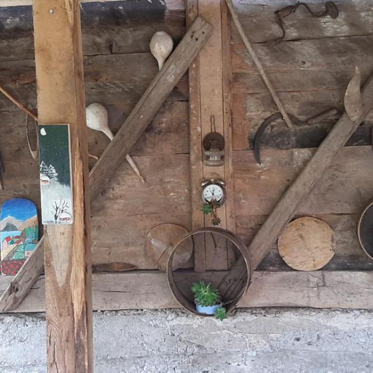 Stari dud Beserovina - Kuća sa 2 Spavaće Sobe - 8