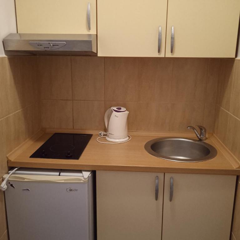 Apartments Milica - Apartman sa 2 Spavaće Sobe - 8