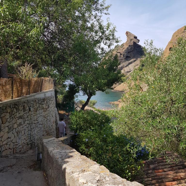 Studio Le Pénéqué des Anges - Studio mit Gartenblick - 15