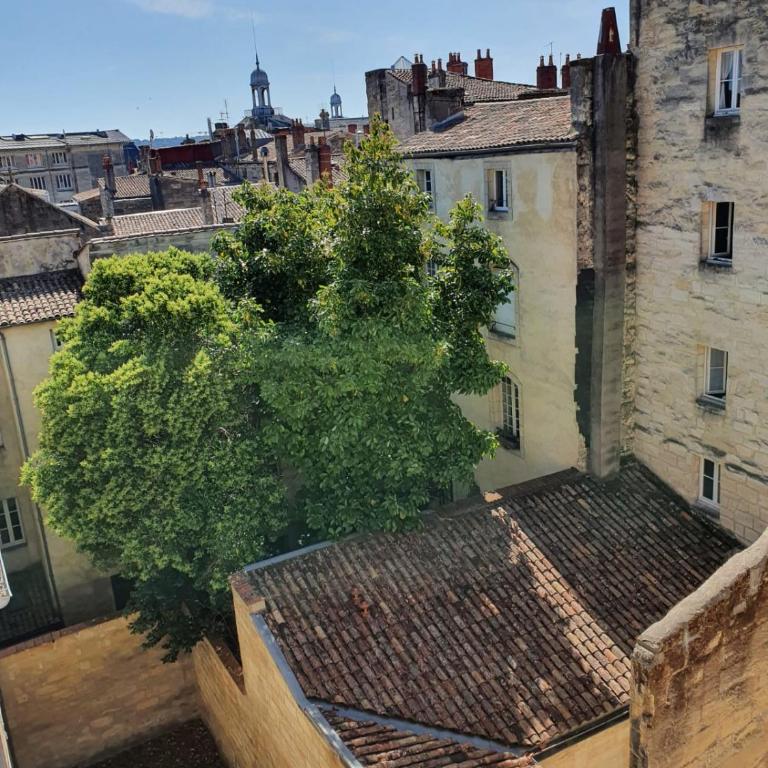 Le triangle d or - Appartement - 10