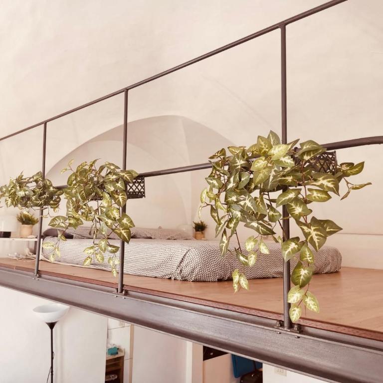 STUDIO LOFT in the CENTER SANREMO FOR 3 PEOPLE - Appartamento con 1 Camera da Letto - 15