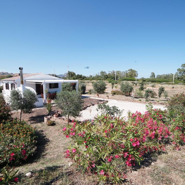 Villa da Luciana - Casa Vacanze - 3