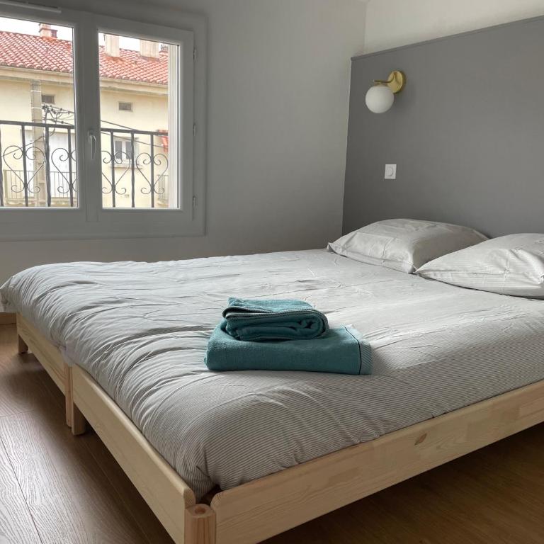 Appartement Prox Lycée Arago - Apartment mit 2 Schlafzimmern - 6