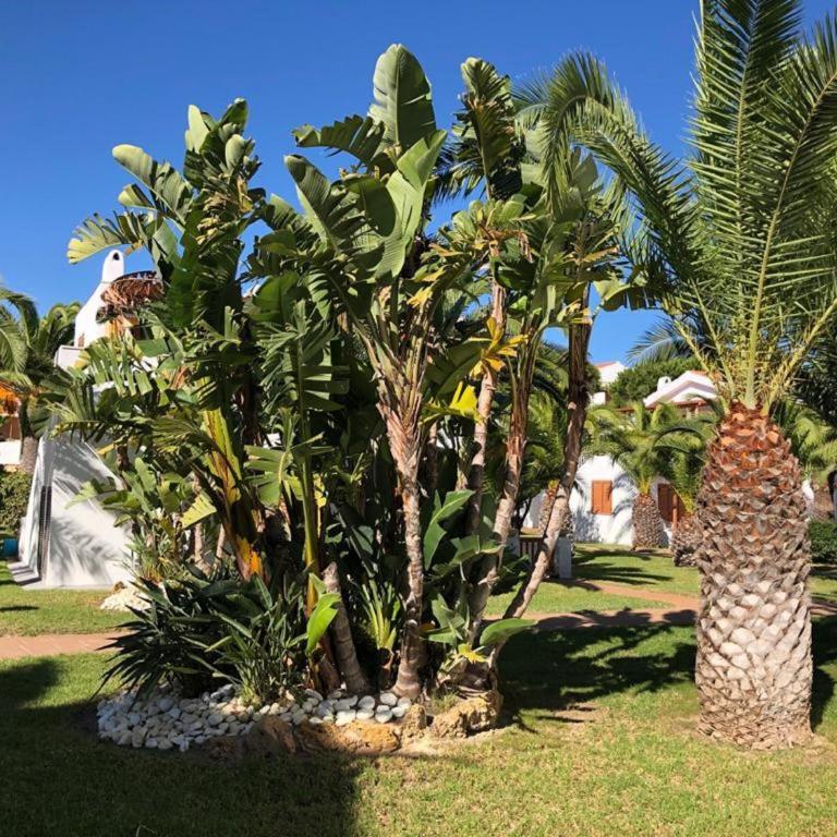 COSTA DAURADA APARTAMENTS - Stival Park 4 - Apartment with Garden View - 4