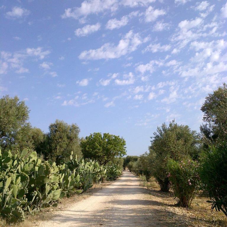 Masseria Asciano - Appartamento con 1 Camera da Letto - Dependance - 6
