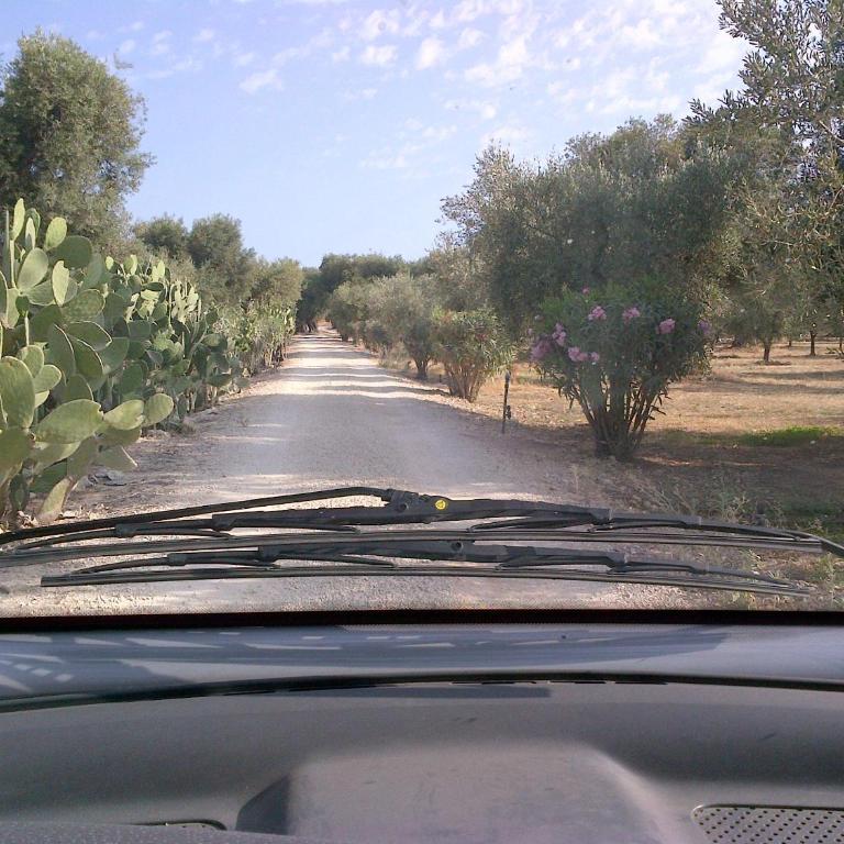 Masseria Asciano - Appartamento con 1 Camera da Letto - Dependance - 7