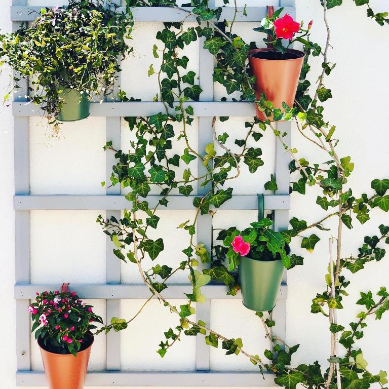 Dream Apartments - Apartment with Terrace - 9