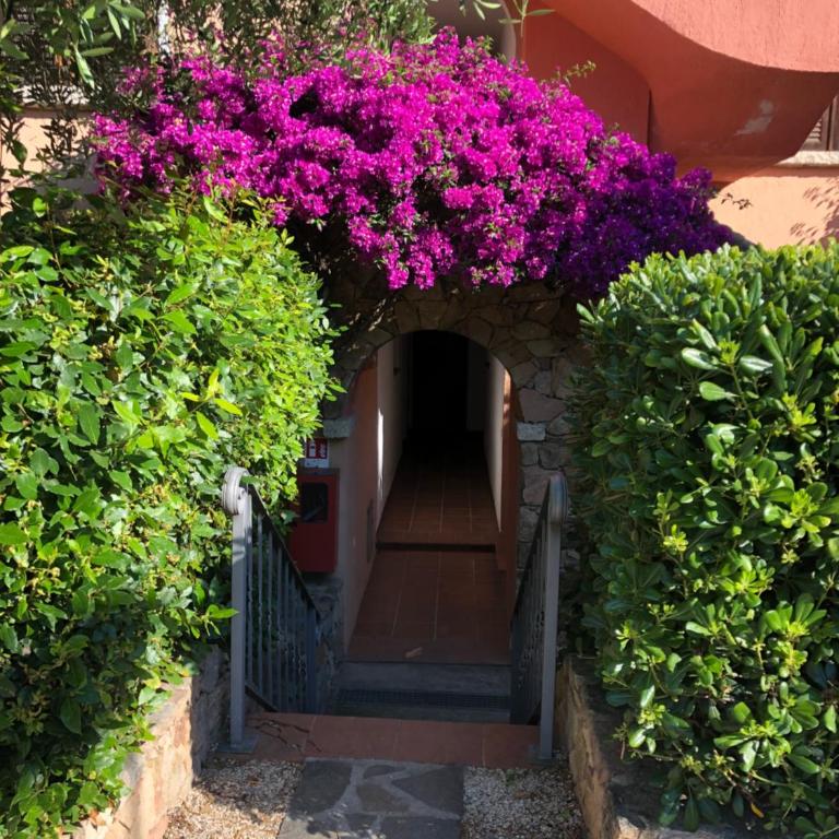 Monolocale Suite AGB nel cuore di Porto Rotondo - Monolocale - 4
