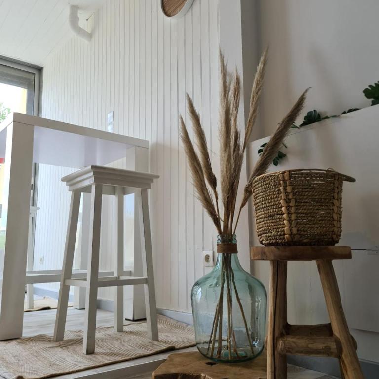 Cap D'agde Naturiste Heliopolis 2 à 4 Personnes Appartement OSMOSE - Appartamento con 1 Camera da Letto - 12