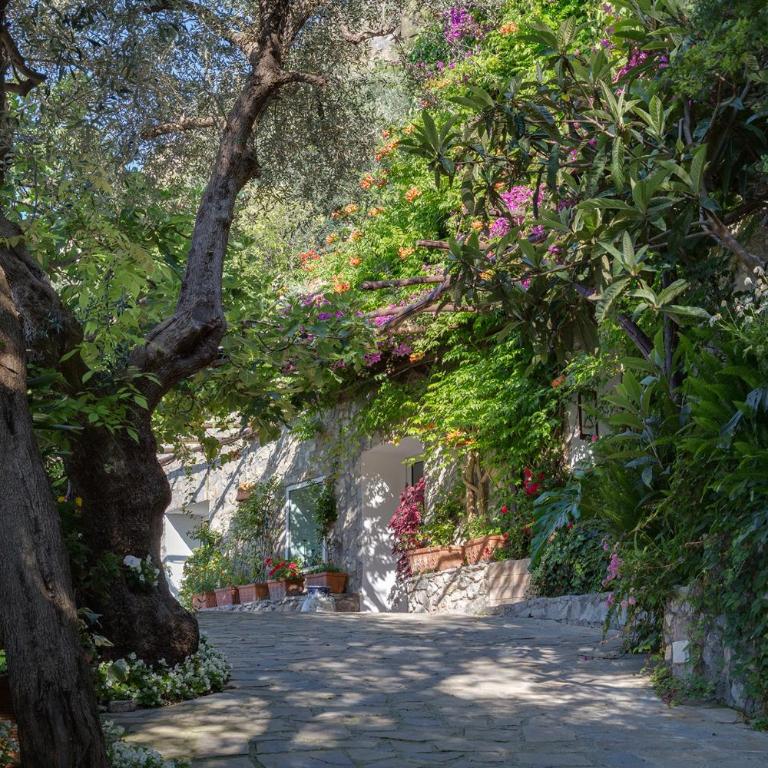 Amore Rentals - Villa Era - Villa con Piscina Privata - 9