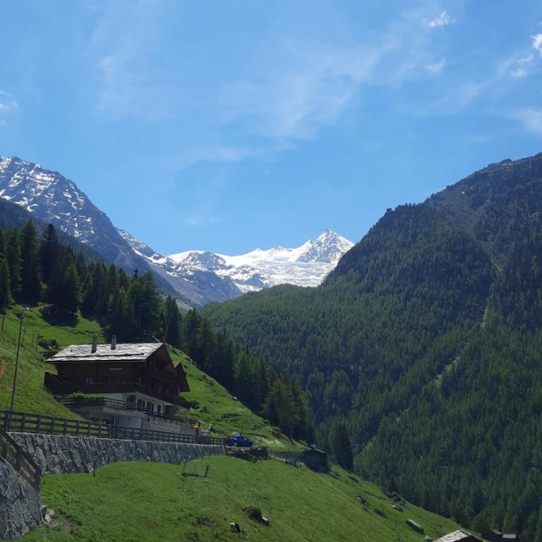 Chalet Clair de Lune bei Grächen VS - Apartment - Erdgeschoss - 14