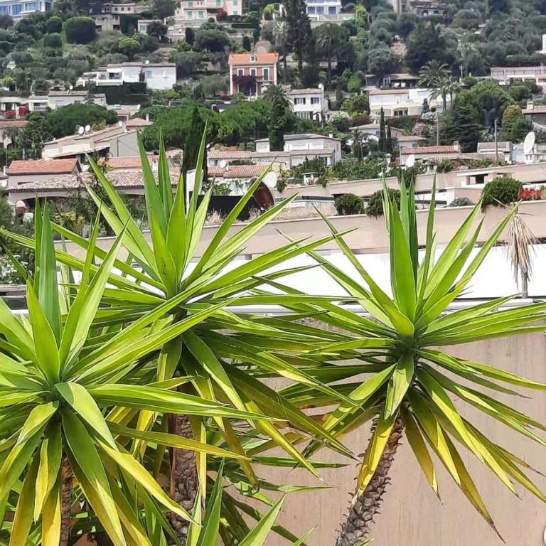 Appt 70m2, 3P, Toit-terrasse, Vue mer, Proche plage - Appartement 2 Chambres - 13