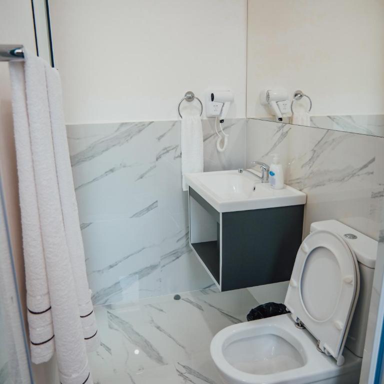 Apartments Gjenashaj - Deluks Studio sa Queen Krevetom - 4