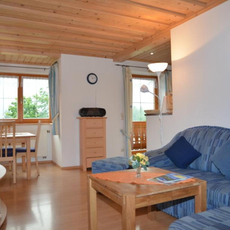 Ferienwohnungen Oberthannlehen - Apartment mit Blick auf die Berge - 1