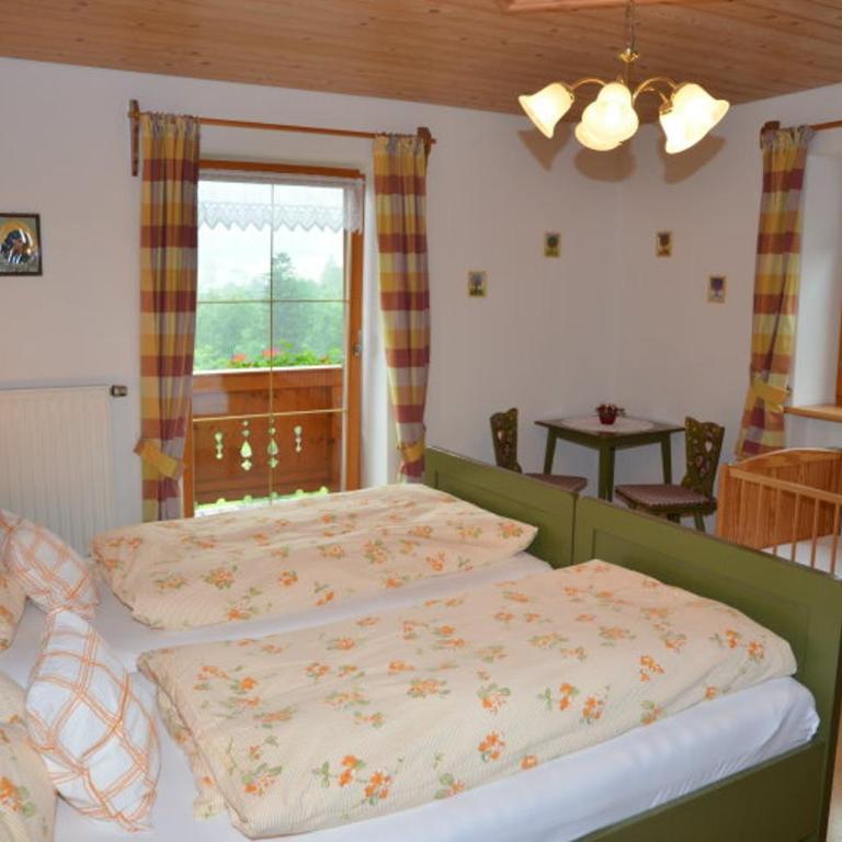 Ferienwohnungen Oberthannlehen - Apartment mit Blick auf die Berge - 4